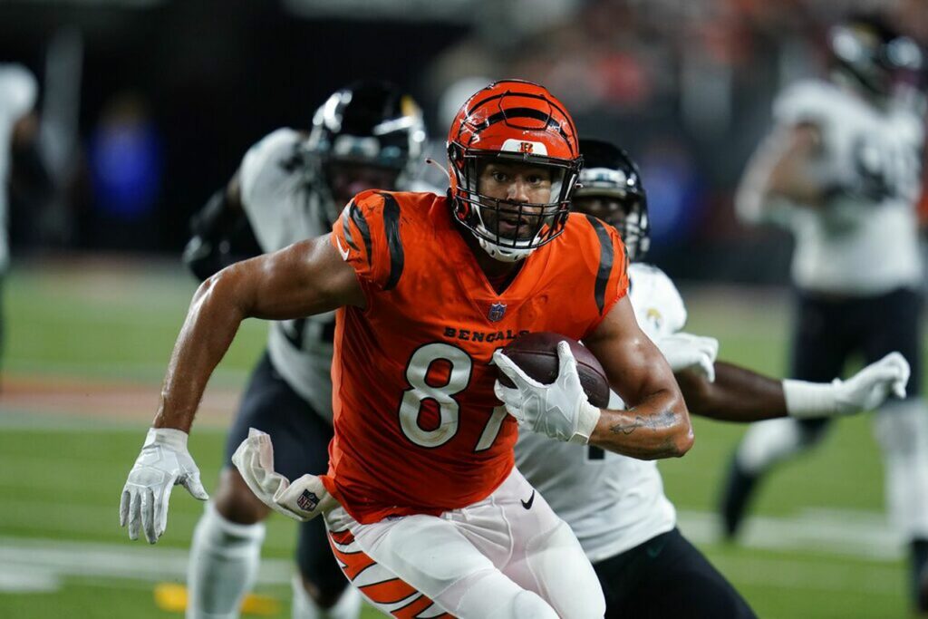 Bengals